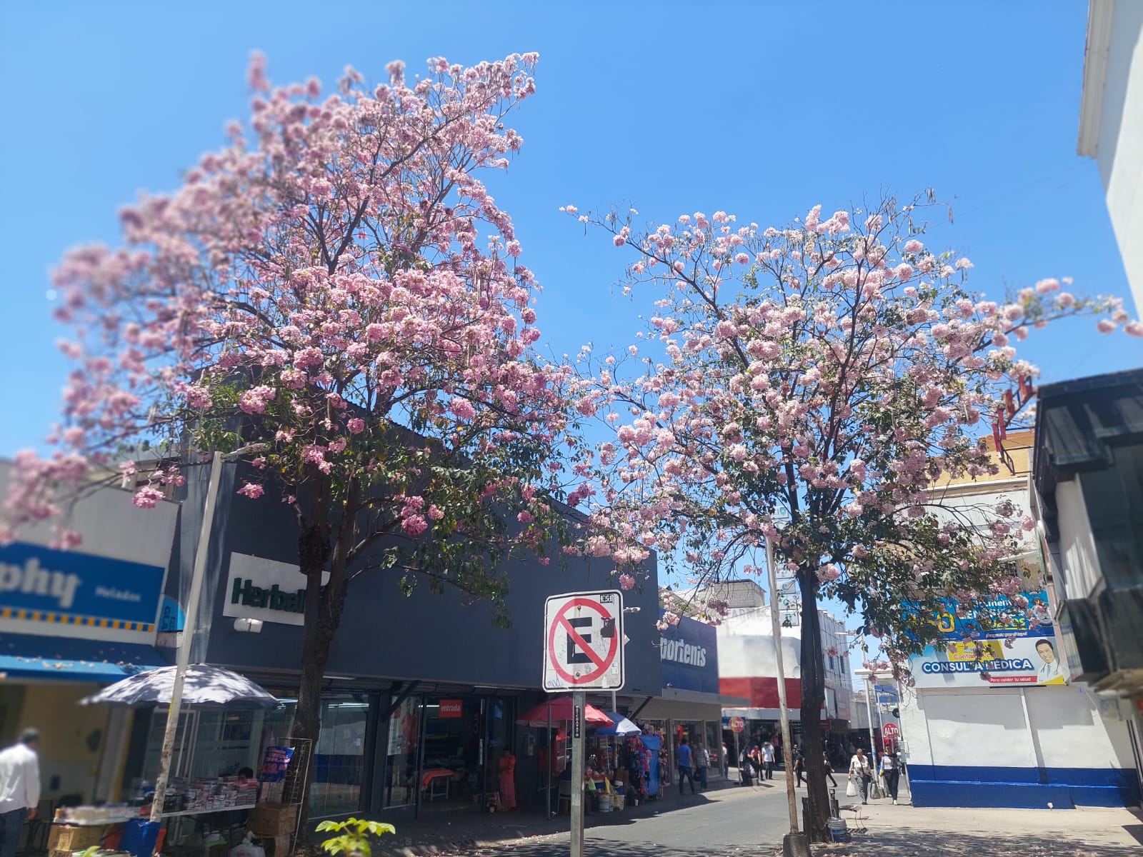 Centro histórico de Culiacán