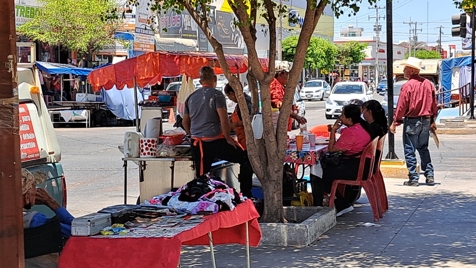 Puestos de comercio en Guamúchil