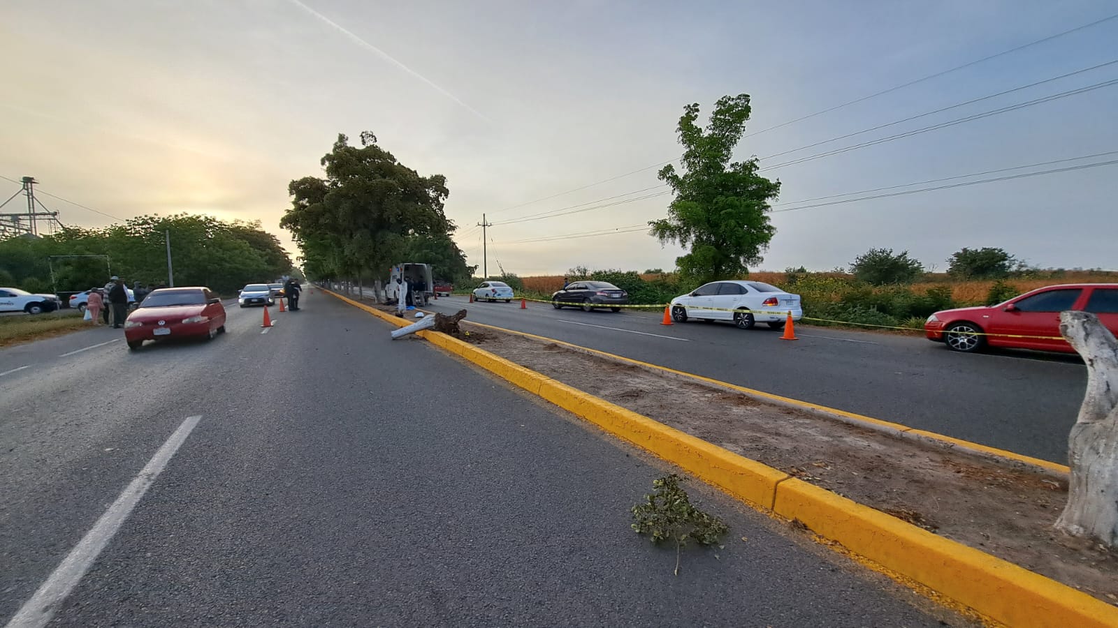 Motociclista fallece al chocar con un árbol