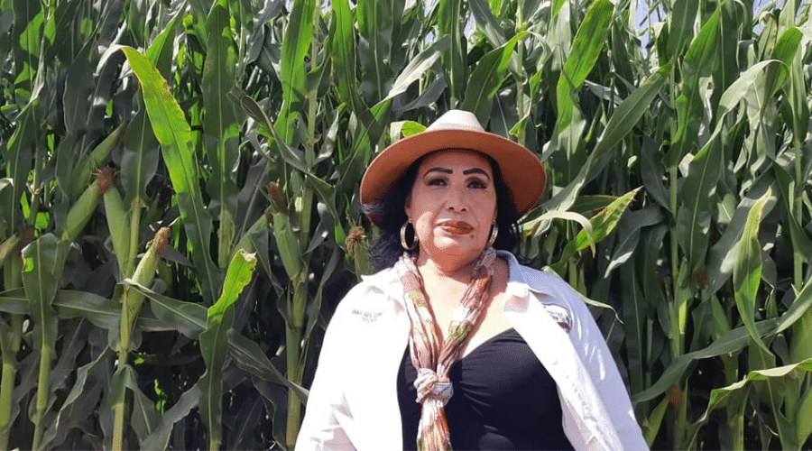 Es mamá productora de La Cofradía, Guasave, y sabe lo que se sufre para hacer producir la tierra y la satisfacción de verla cosechar.