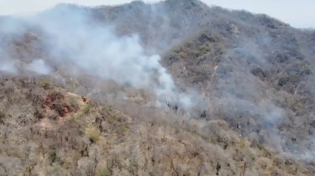 Incendio forestal al sur de Sinaloa