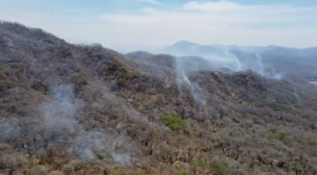 Incendio forestal al sur de Sinaloa