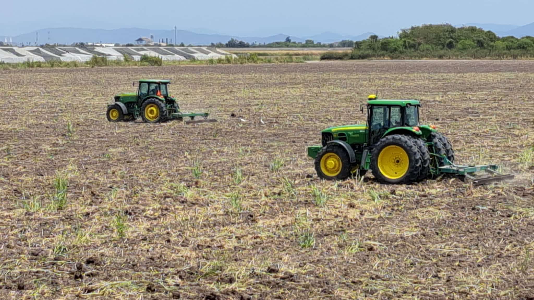 Tractores en tierra de siembra