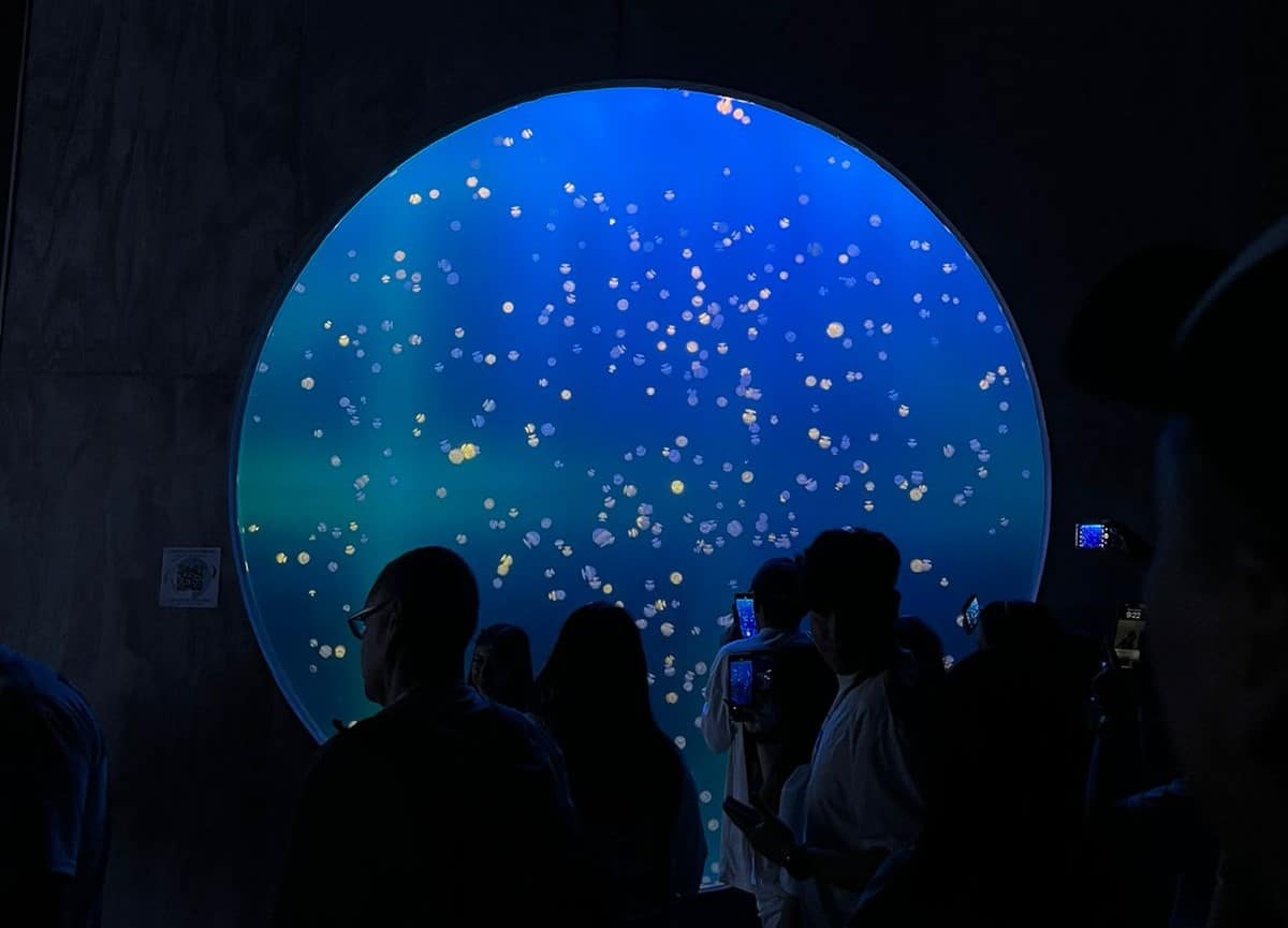Visitas en el acuario de Mazatlán