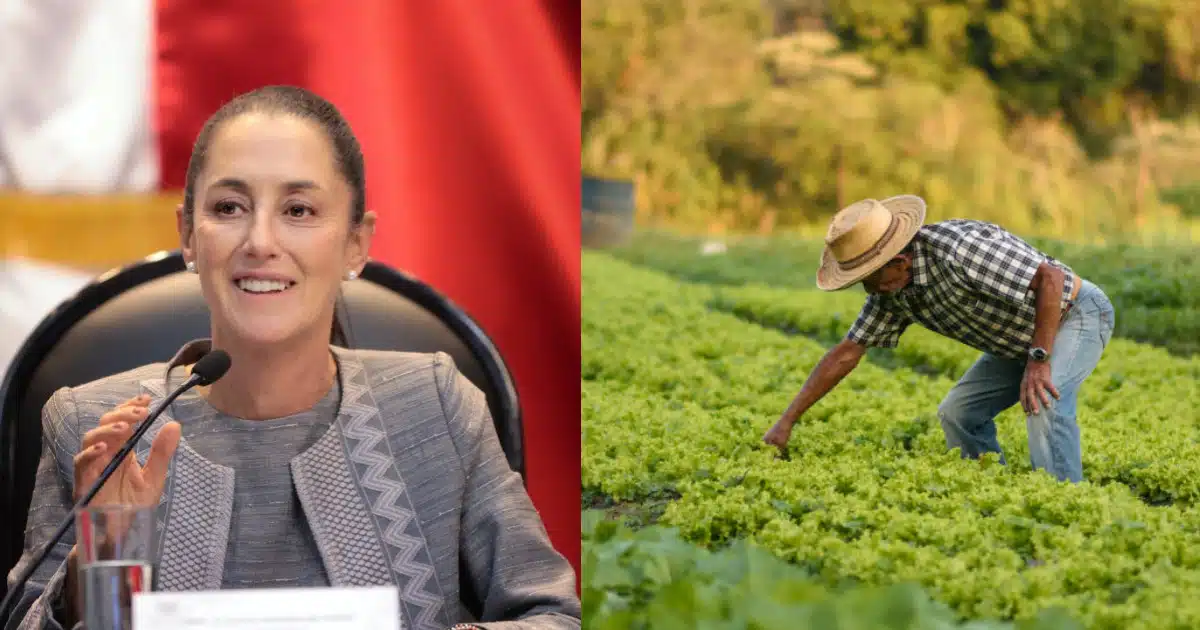 Productores del campo tienen optimismo con la llegada de Claudia Sheinbaum a la presidencia de México