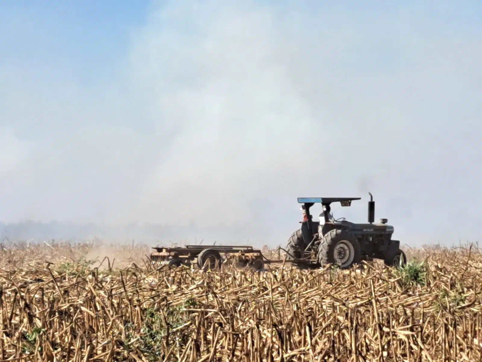 Arde vasta extensión de soca y amenaza a cultivo de maíz en Guasave.