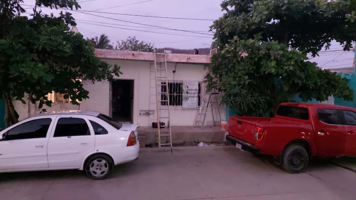 Lugar en donde las personas y el pequeño perro fueron picados por las abejas