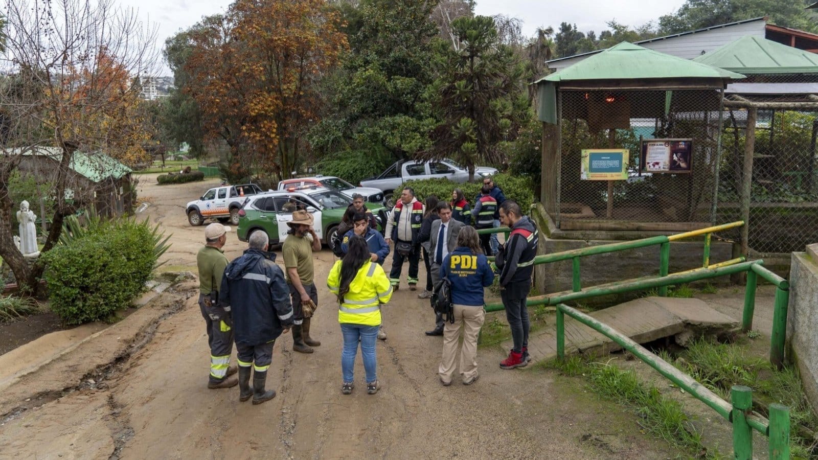 Ataques de perros en zoológico