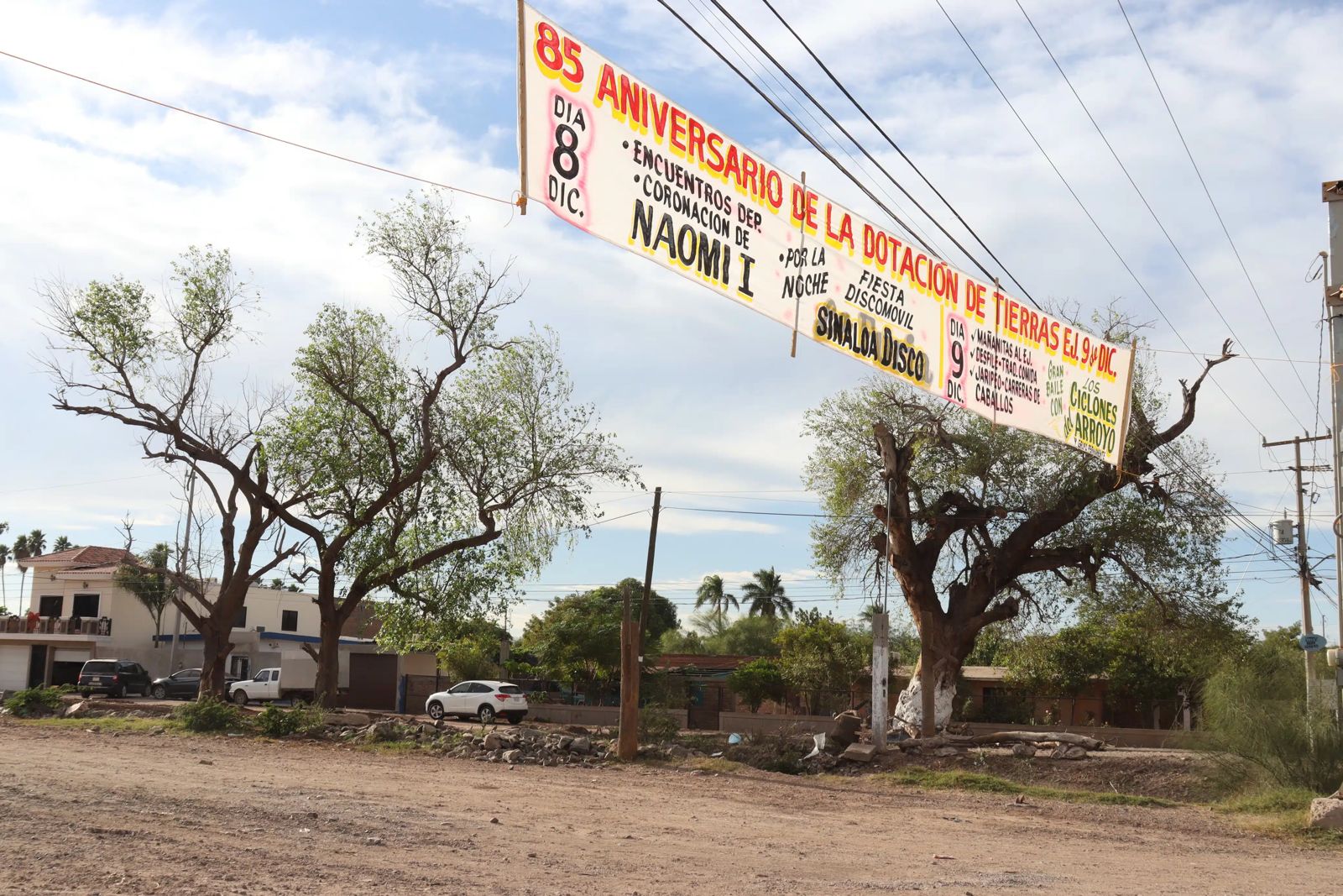 Árboles en el ejido 9 de Diciembre