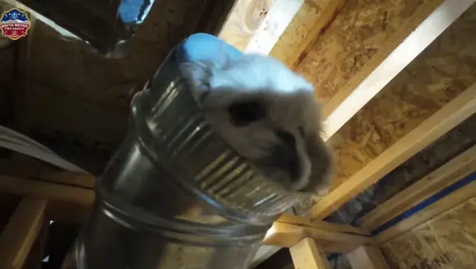 VIDEO: Así fue el heroico rescate de un cachorro atrapado en el ducto de ventilación de una casa
