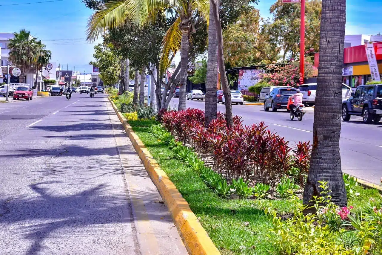 Camellón central de una avenida de Mazatlán