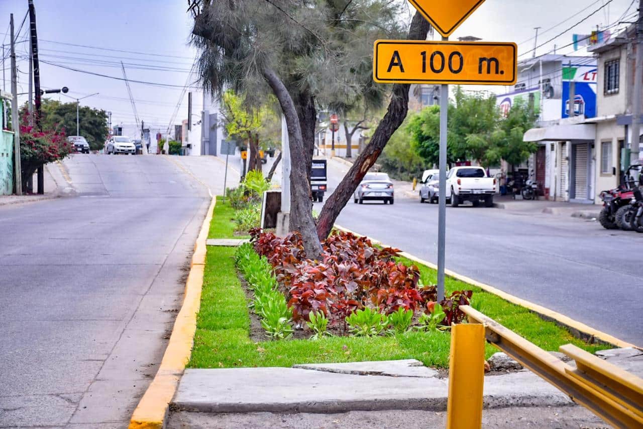 Camellón central de una avenida de Mazatlán