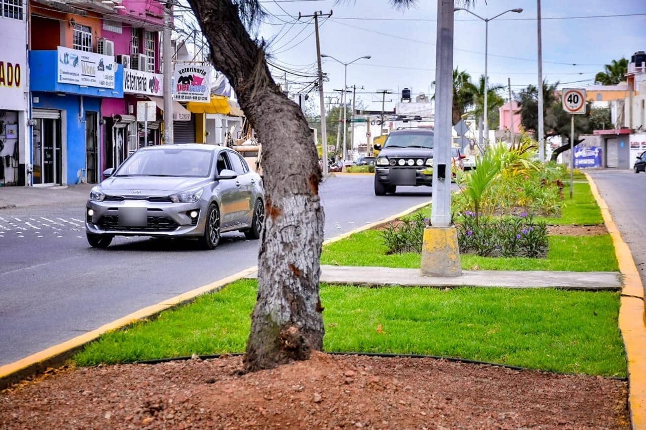 Camellón central de una avenida de Mazatlán