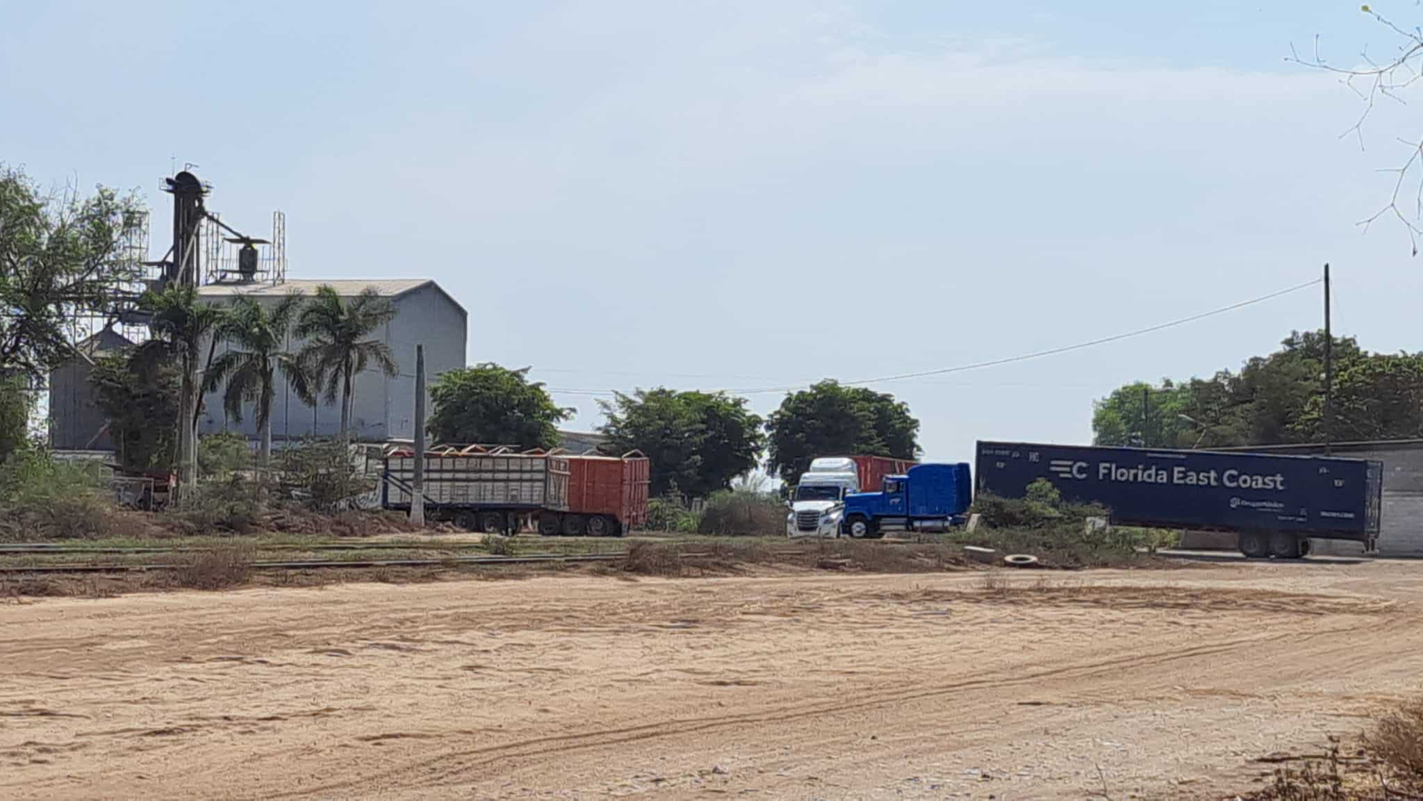Un tráiler carga con toneladas de maíz
