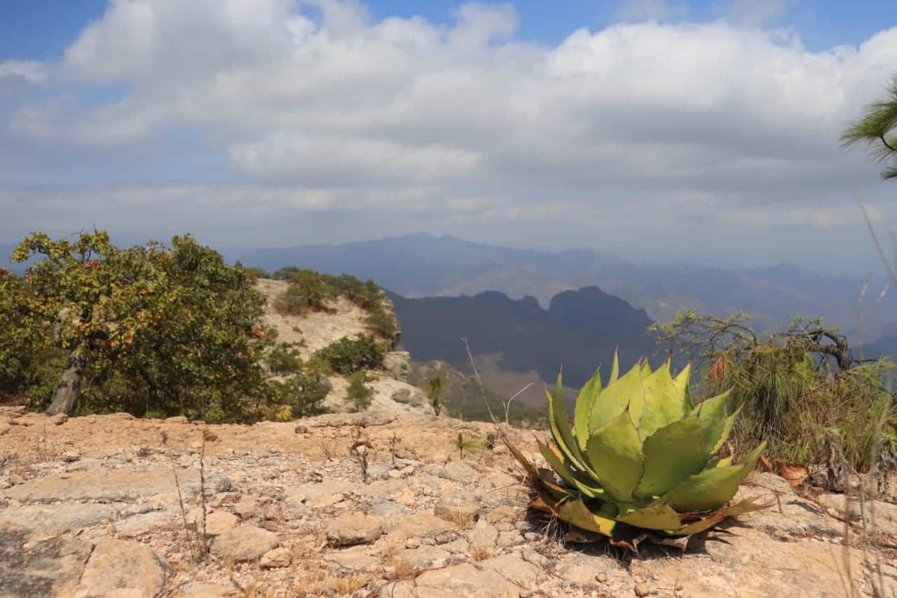 Cerro del fierro, La Petaca