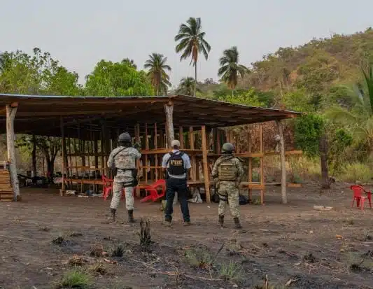 Decomisan 51 artefactos explosivos en Guerrero; desmantelan campamento