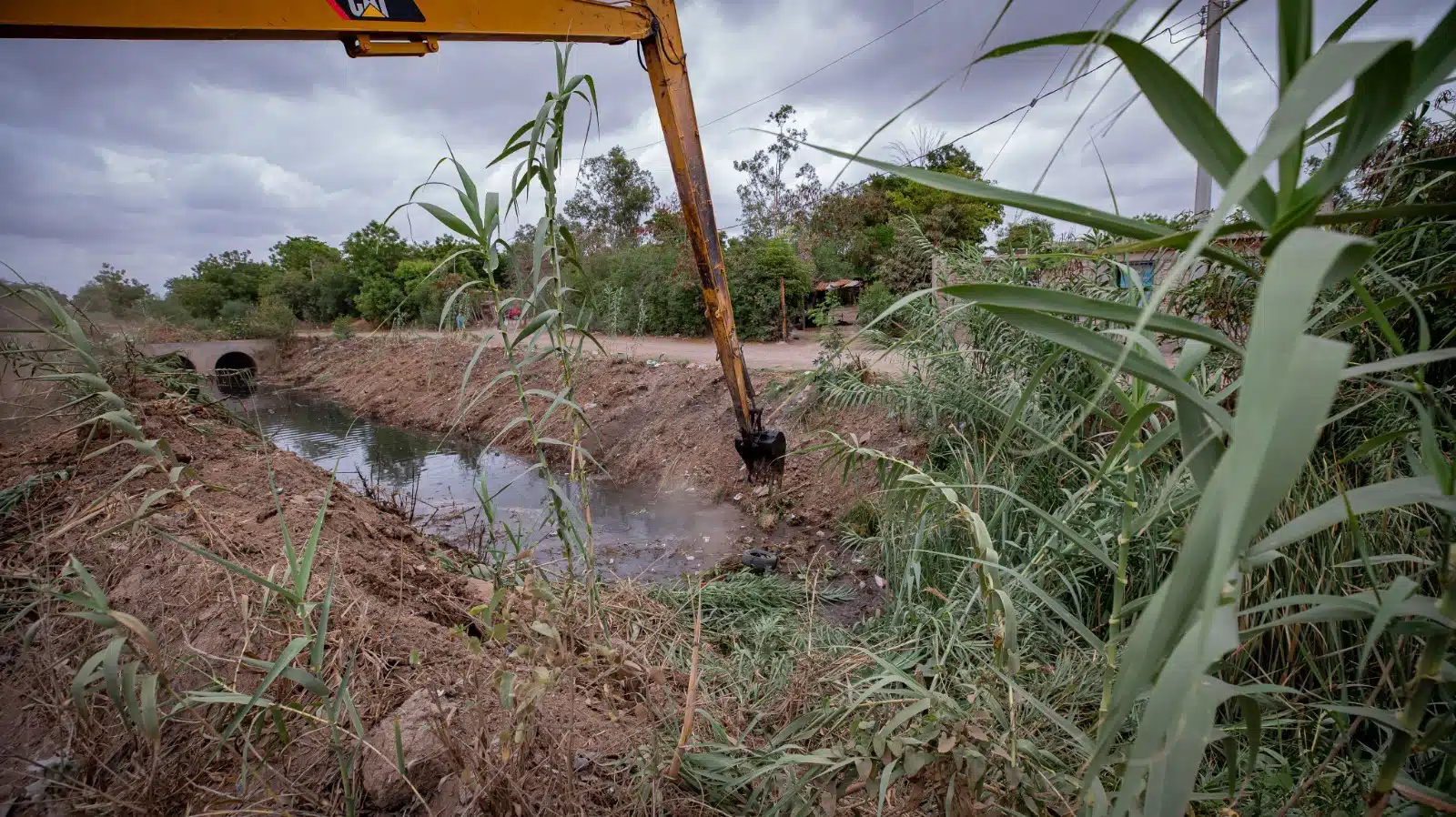 Acciones de desazolve del dren San Joachín de Guasave