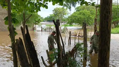 Desborde de tres ríos en Oaxaca deja mil 500 casas inundadas