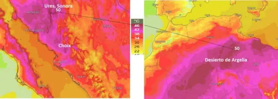 Comparación de temperaturas entre el Desierto de Argelia y Choix