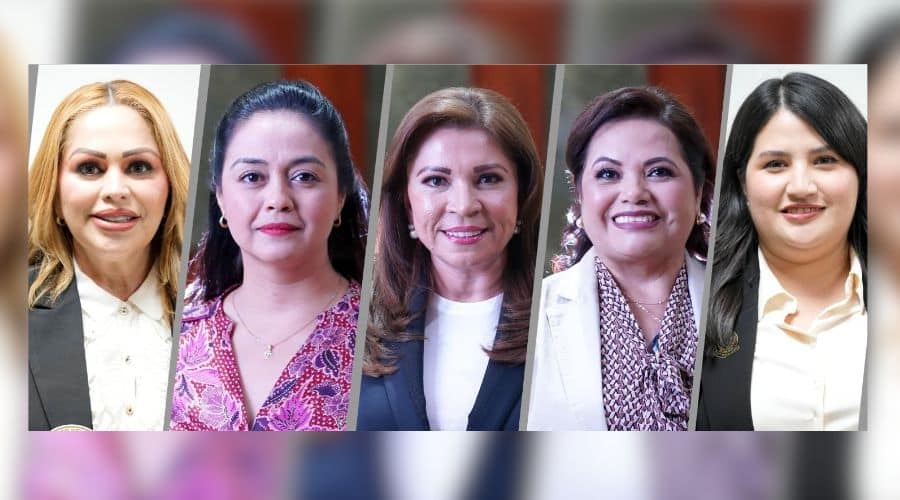 Diputadas a favor de más acciones para el cuidado del medio ambiente