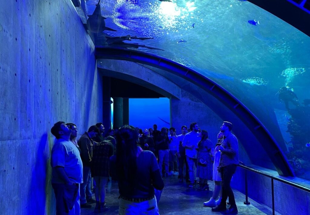 Visitas en el acuario de Mazatlán