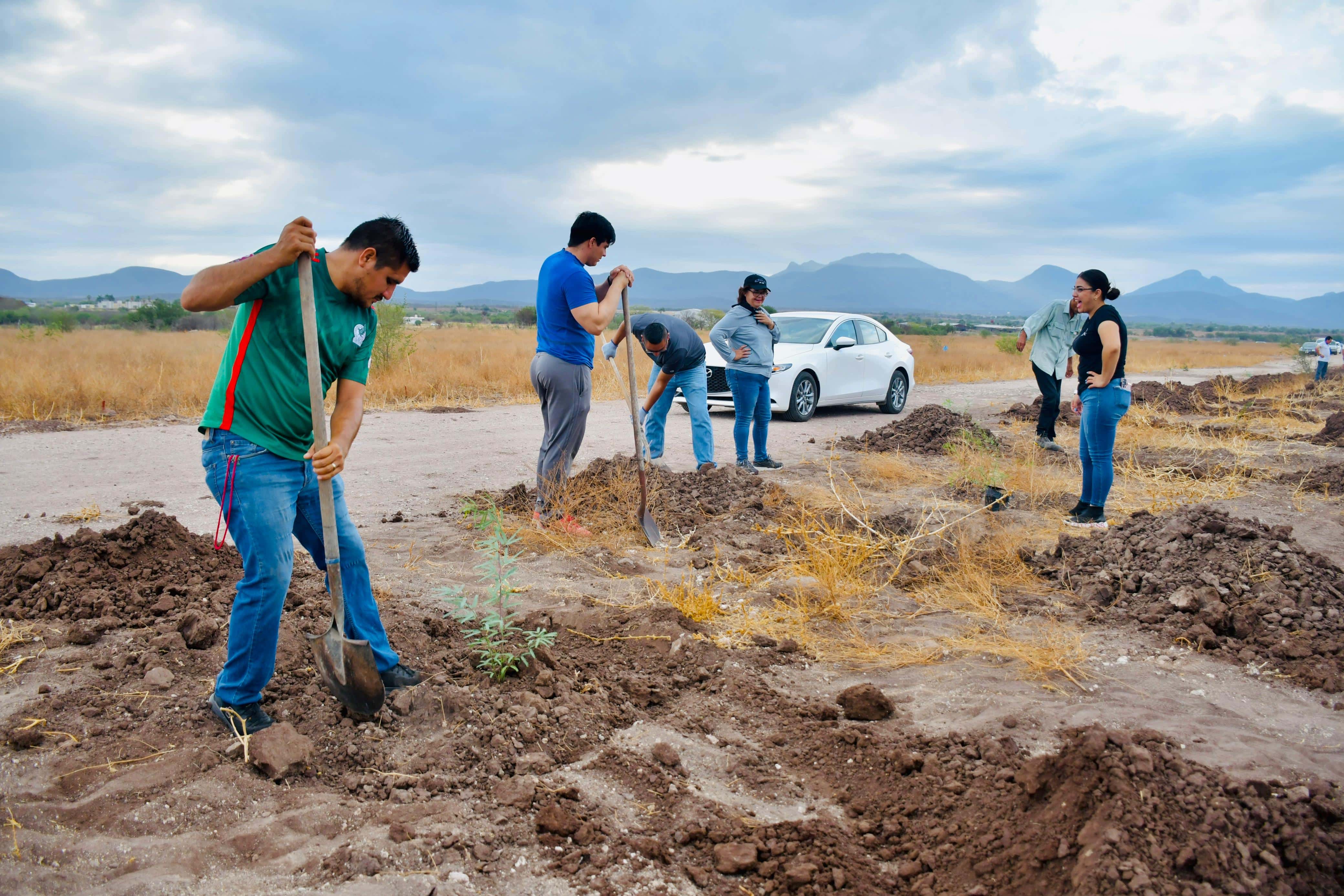 Jornada del Bienestar ayudó a arborización en Guamúchil