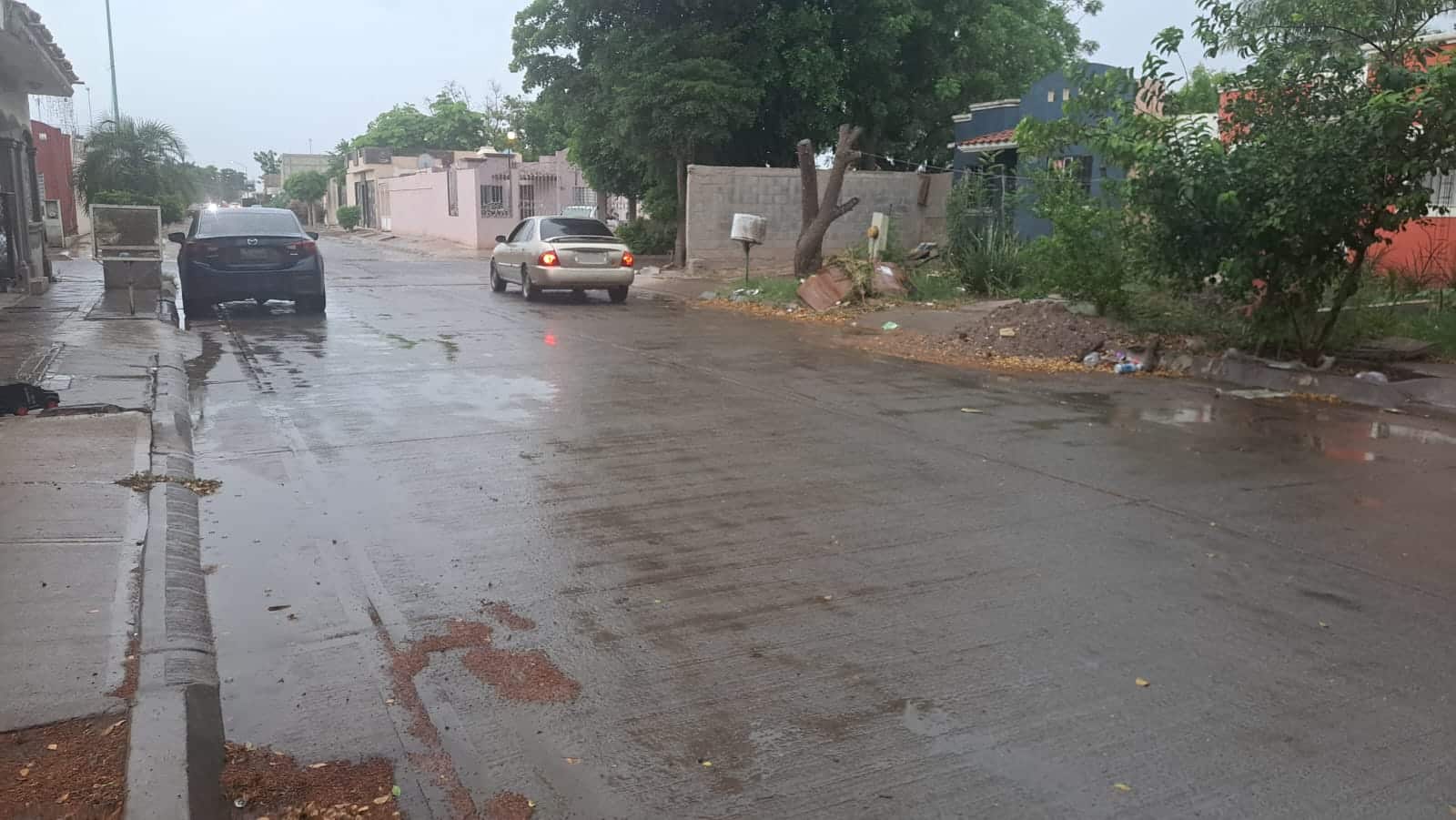Lluvia en Guasave
