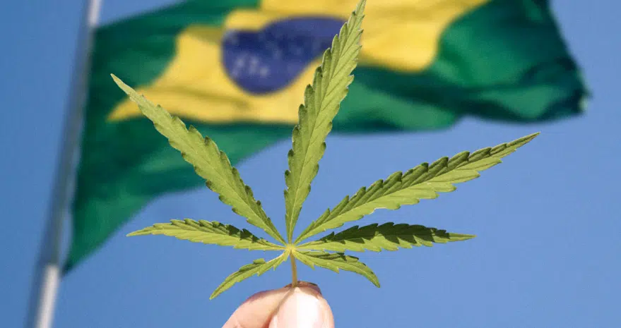 Brasil descriminaliza el consumo de marihuana en el país