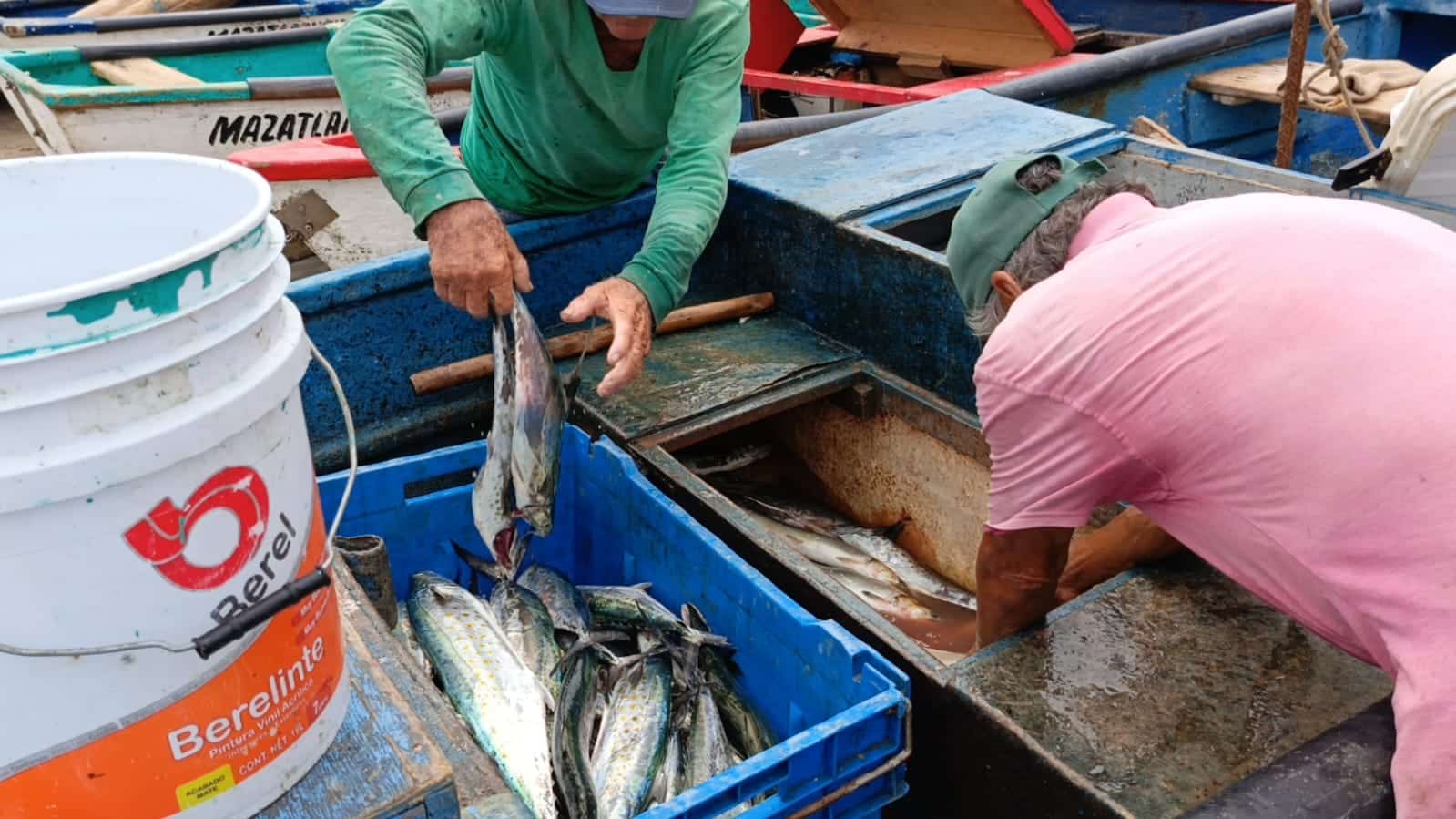Pescado Sierra en Mazatlán