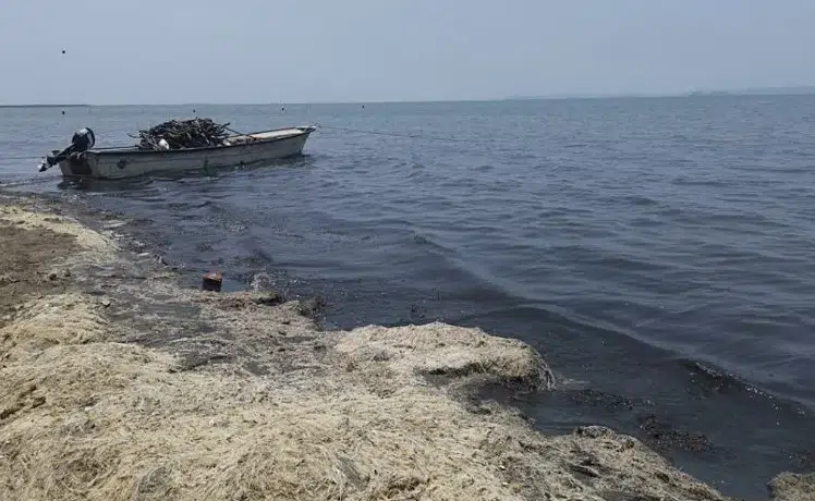 Localizan tres cuerpos sin vida en playa del Istmo