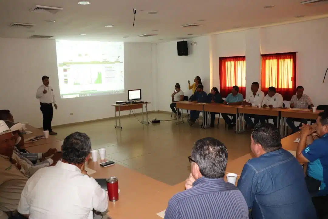 Productores de mango de Escuinapa reunidos