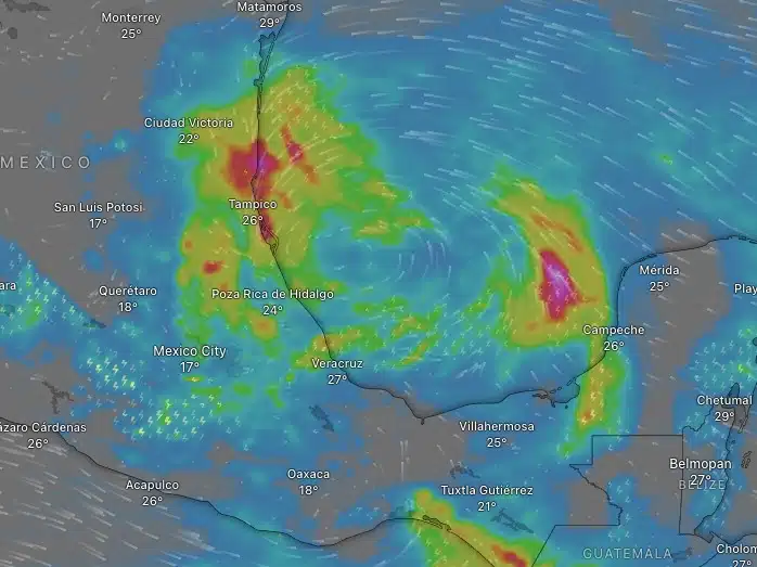 Proyección del sistema Windy del temporal que podría provocar un sistema meteorológico hacia el miércoles 19 de junio en el Golfo de México.