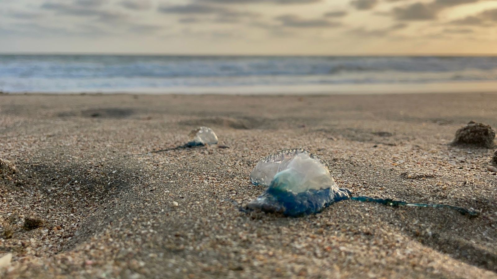 Quemadores en la playa en Mazatlán