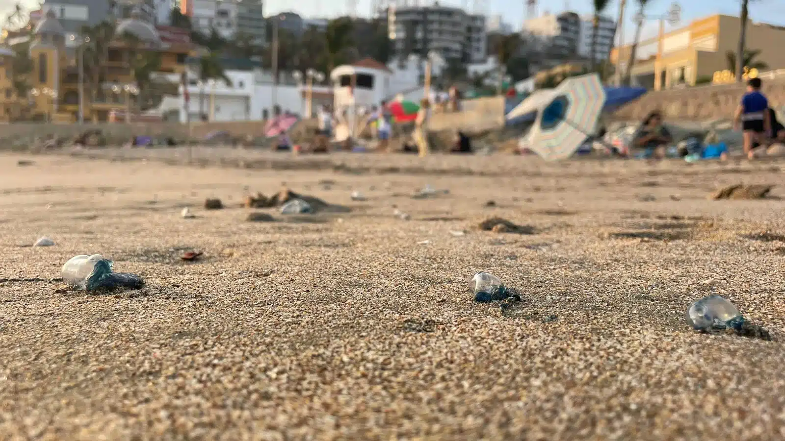 Quemadores en la playa en Mazatlán