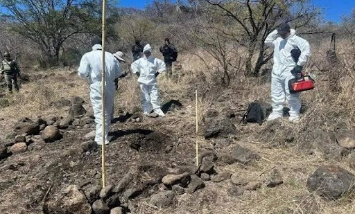 Restos de al menos 16 personas en fosas clandestinas de Michoacán