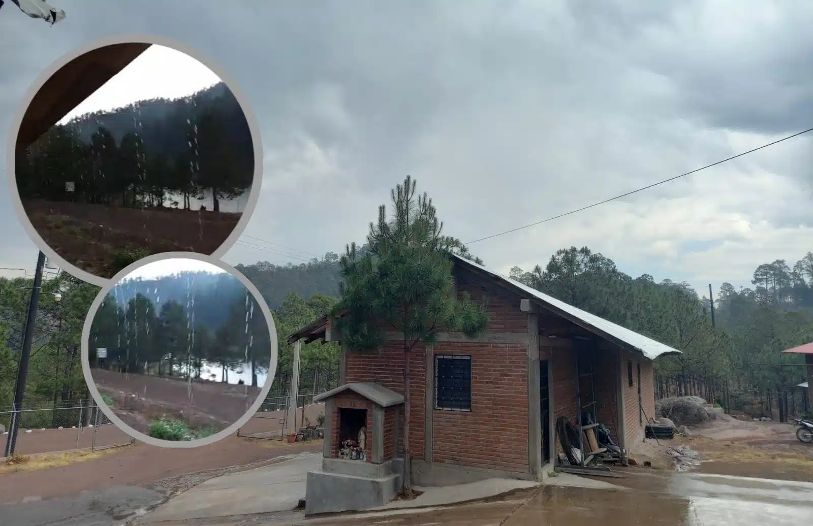 Primera lluvia de la temporada en la sierra de Badiraguato