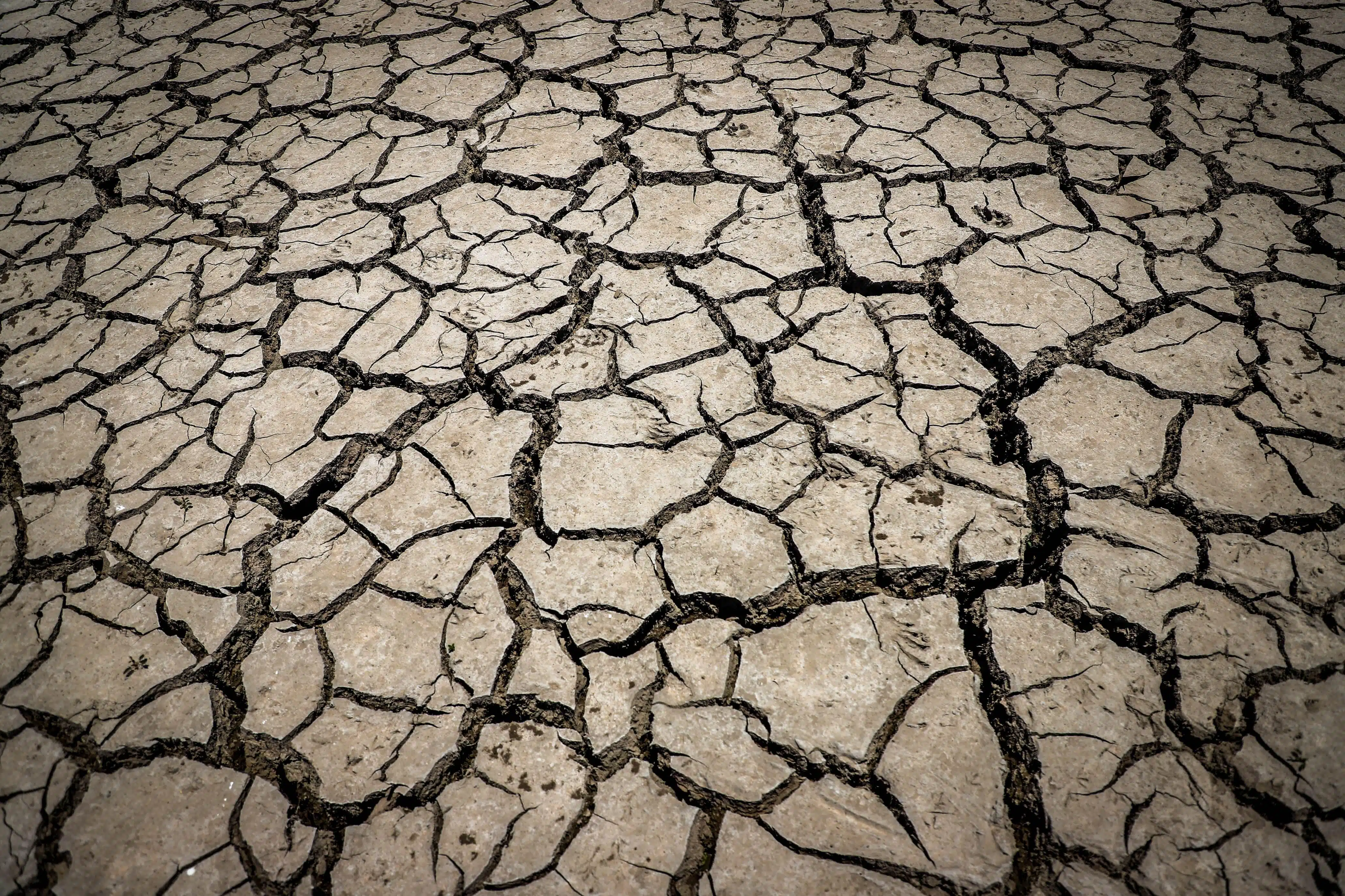 Sinaloa en alerta roja por sequía