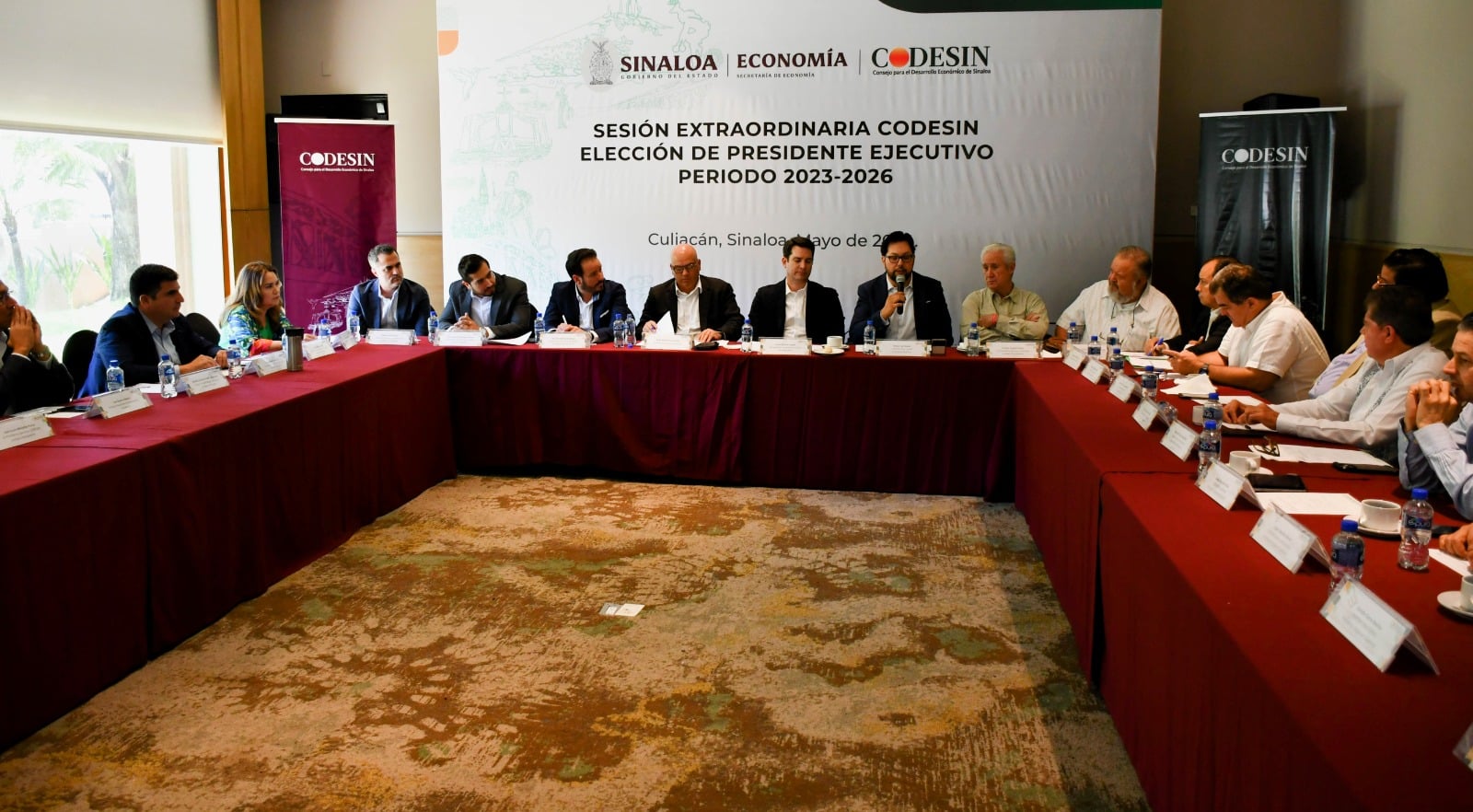 Sesión extraordinaria de la CODESIN