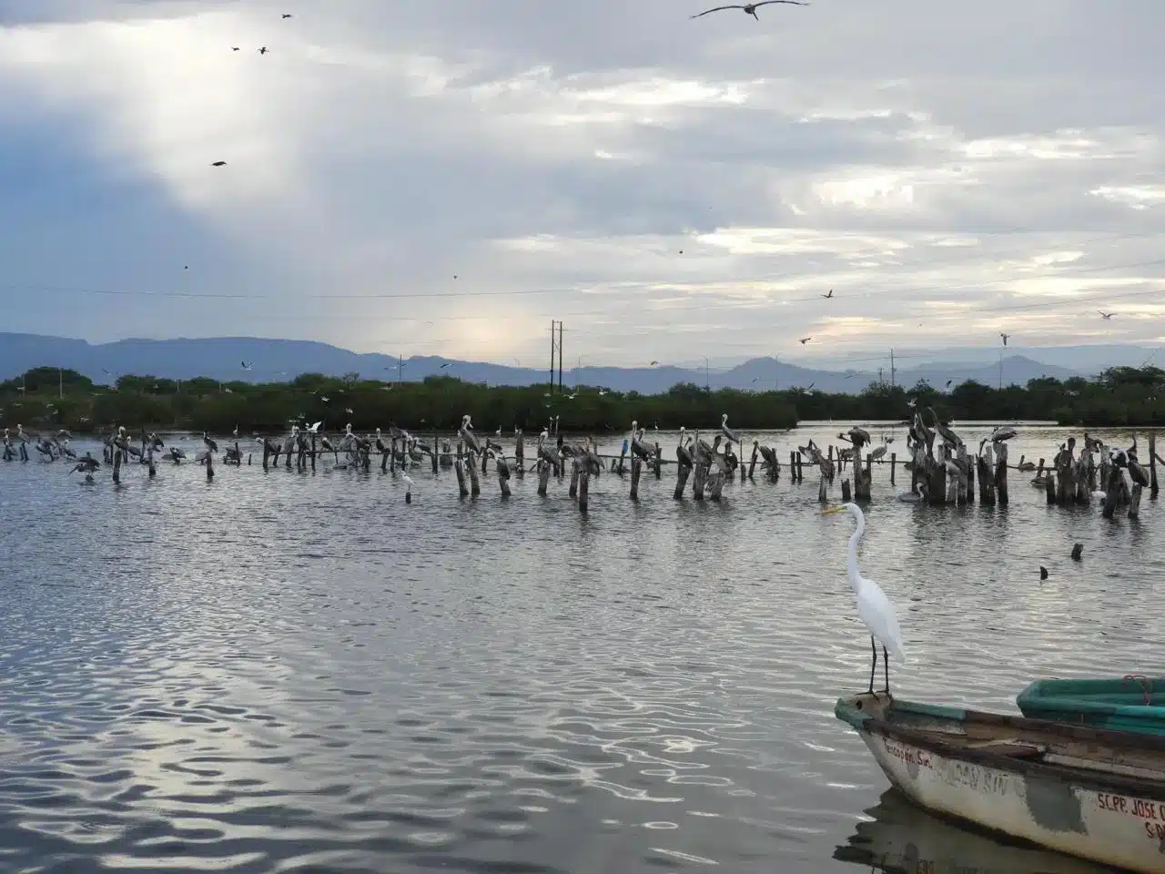 Sistema lagunar en Escuinapa