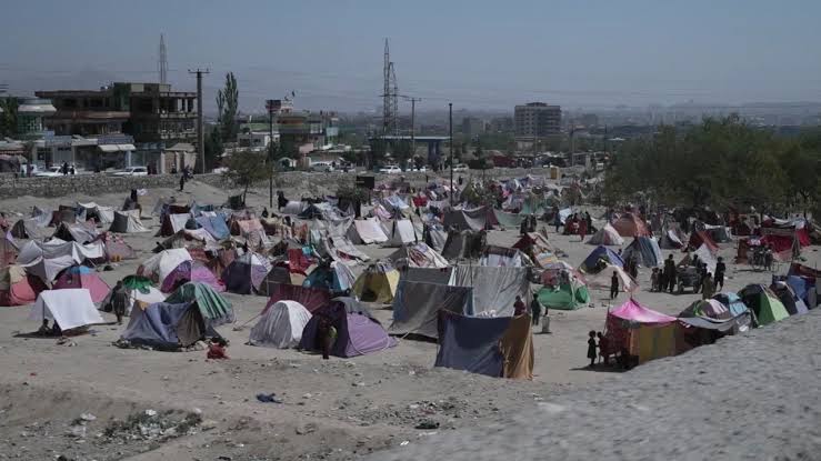 Talibanes desalojan a seis mil afganos desplazados en Kabul