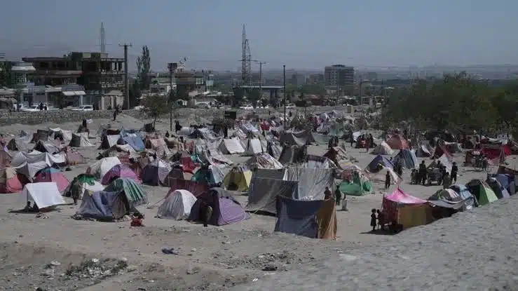 Talibanes desalojan a seis mil afganos desplazados en Kabul