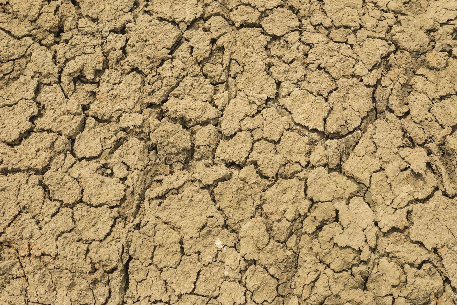 Tierra cuarteada