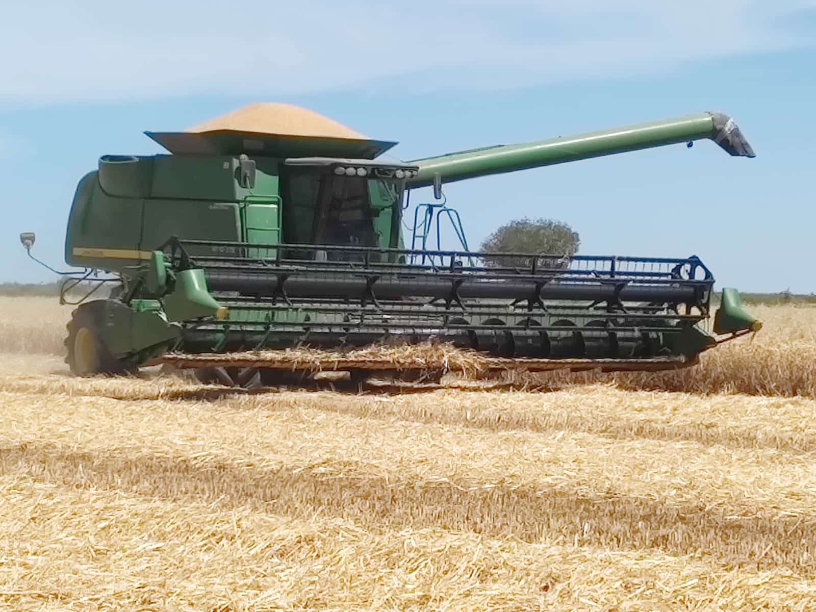 Maquinaria trabajando un campo de trigo
