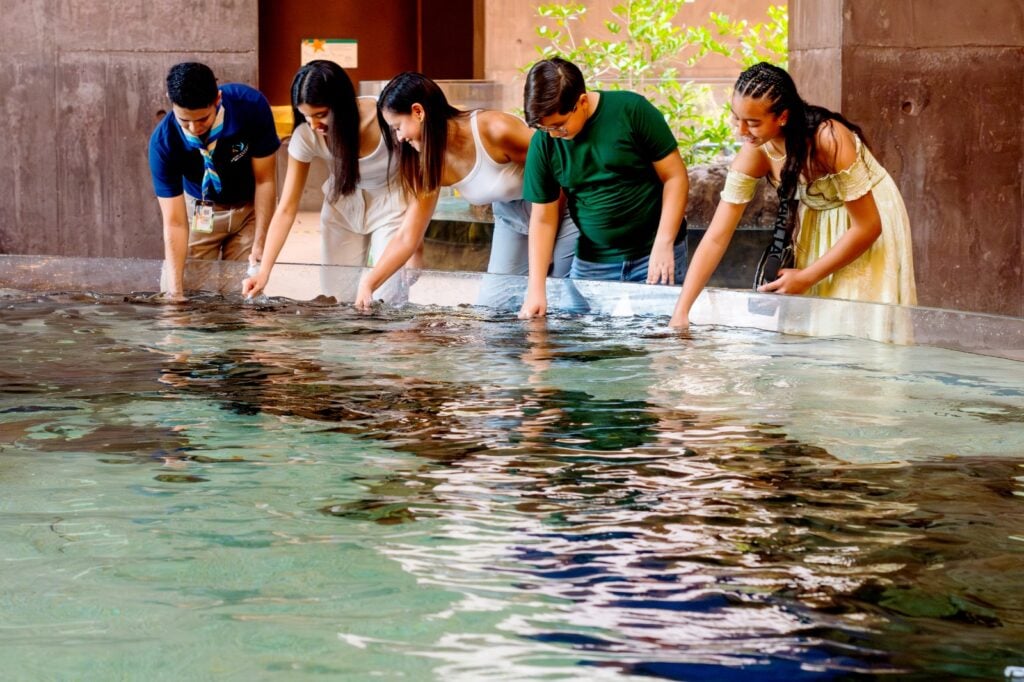 Visitas en el acuario de Mazatlán