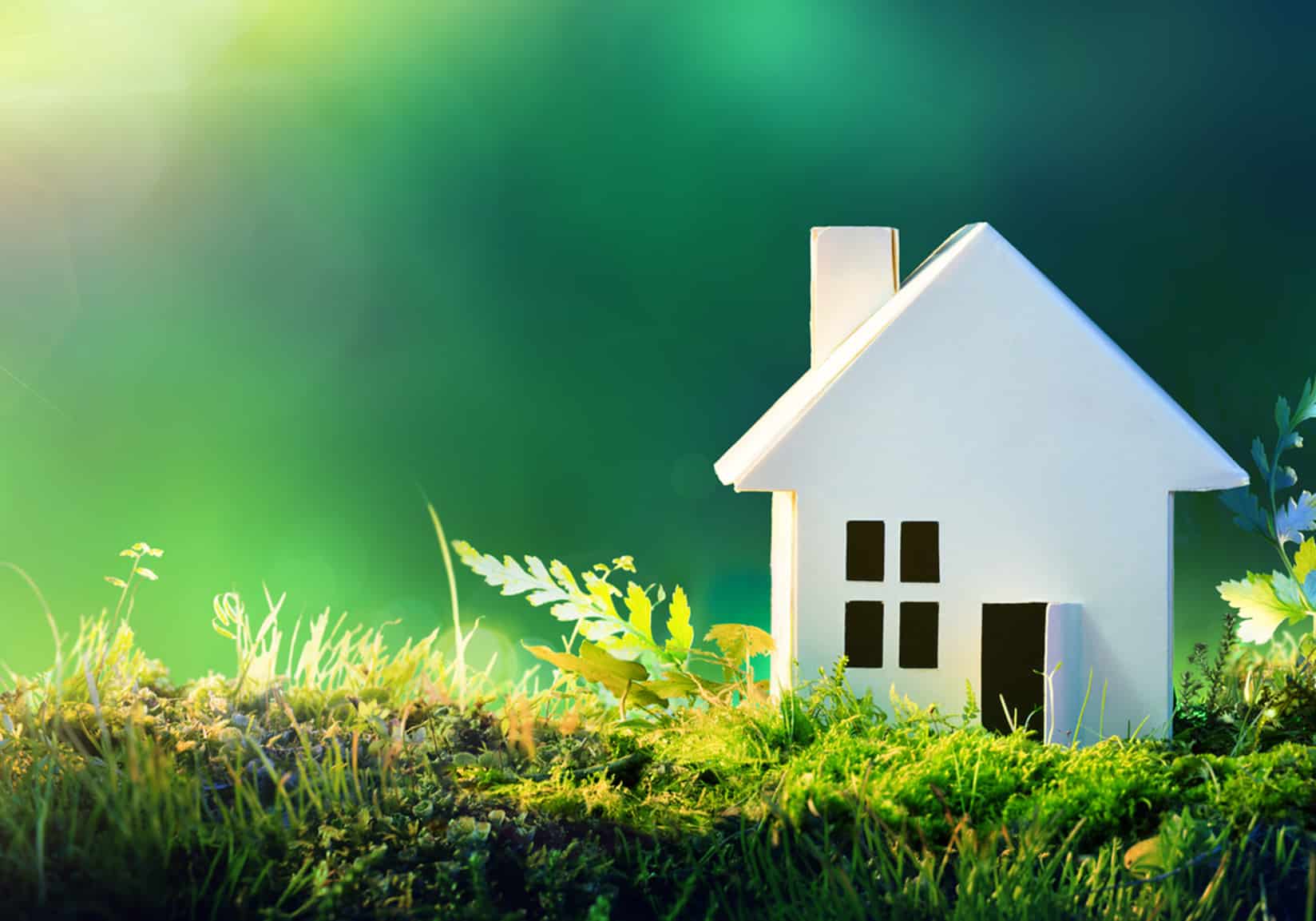 Casa pequeña de madera colocada en un jardín