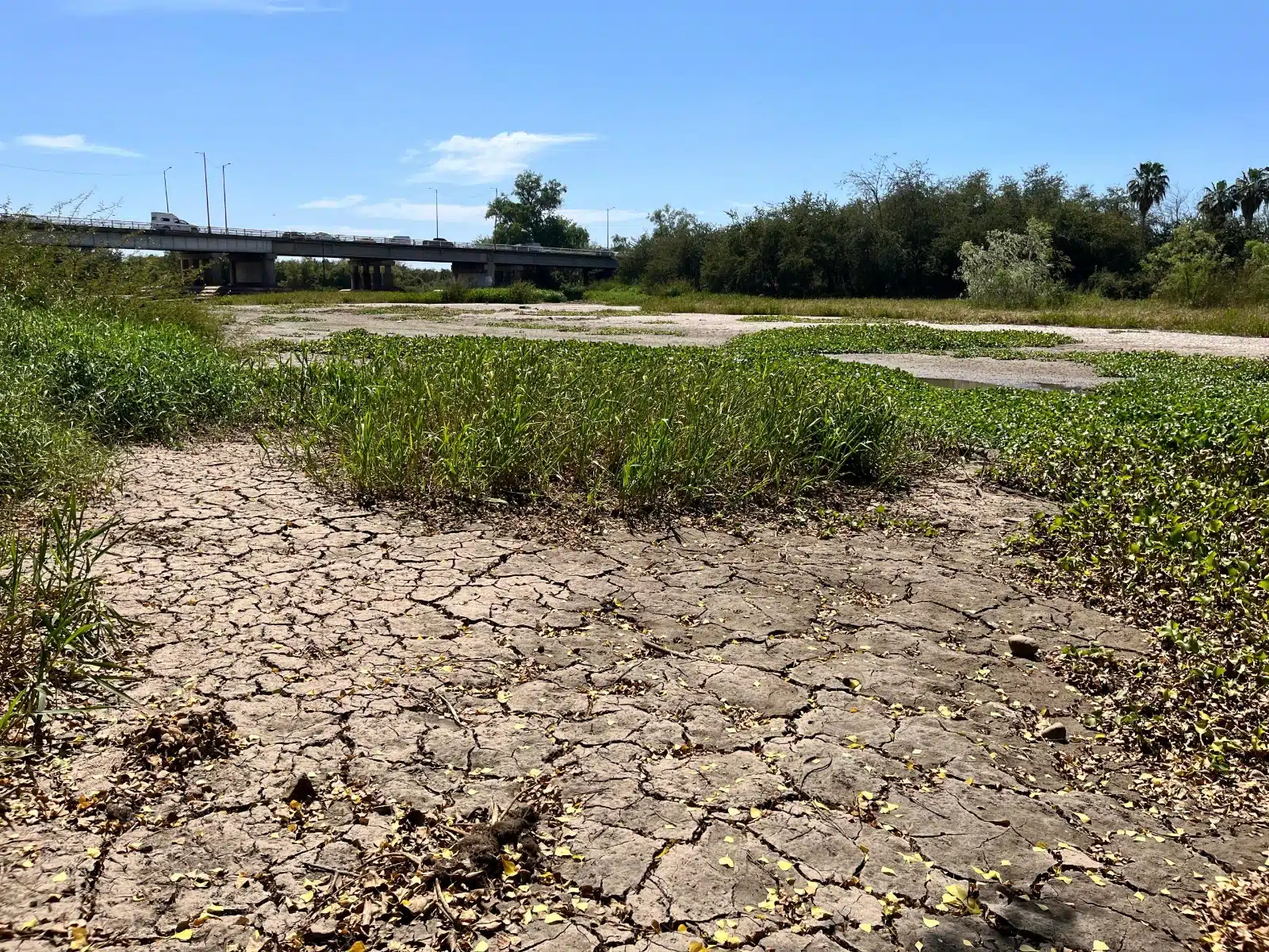 Sequía en Sinaloa