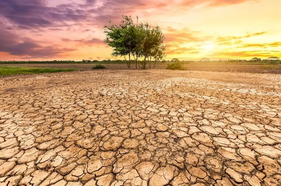 Tierra en sequía