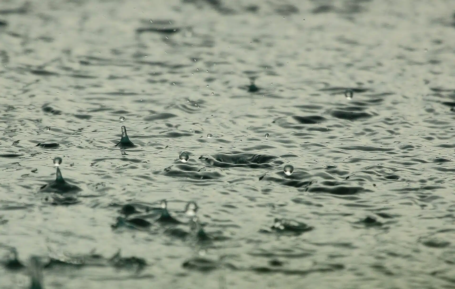 Gotas de lluvia en un charco de agua