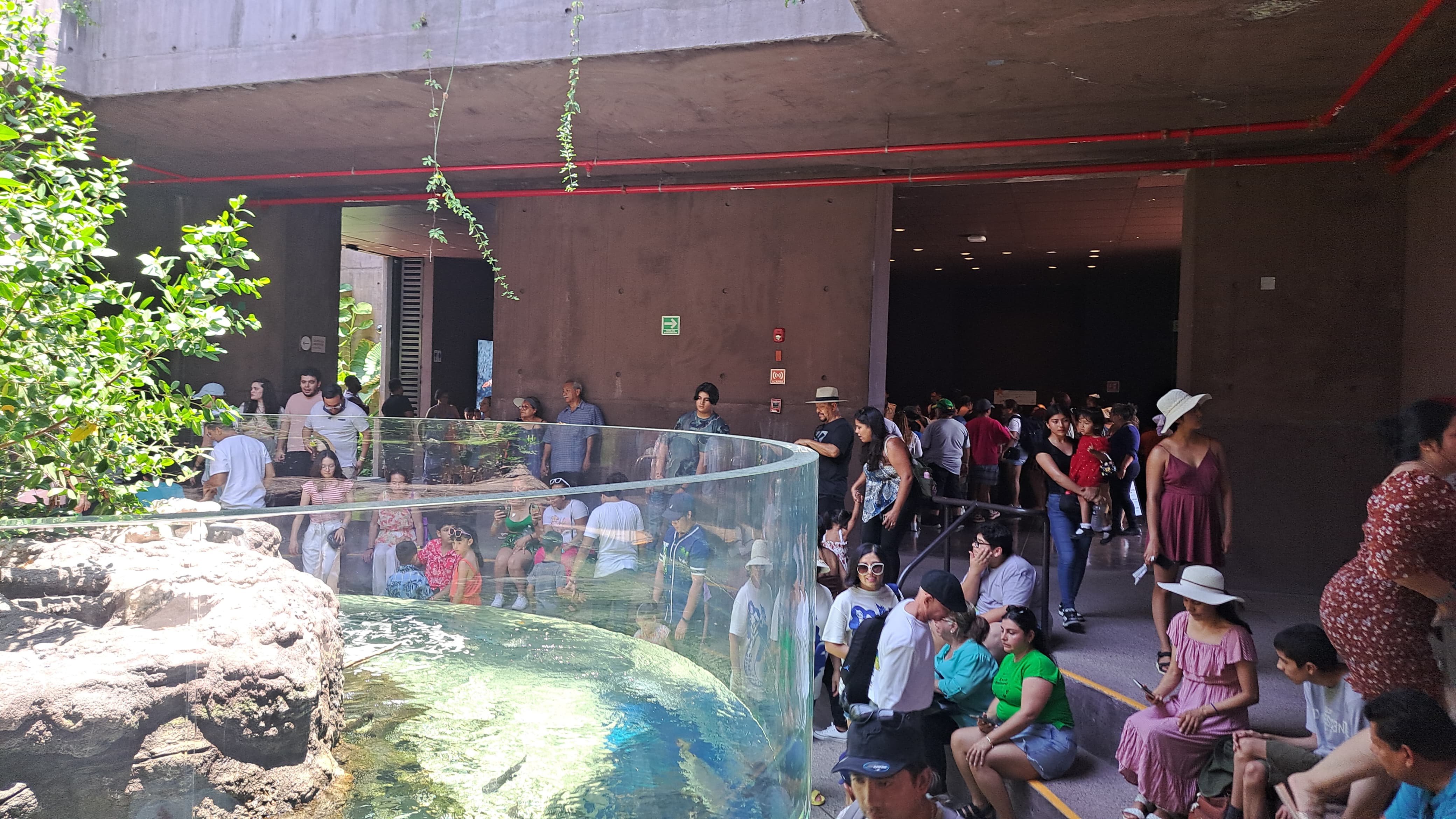 Turistas visitando el Gran Acuario durante su estadía en Mazatlán