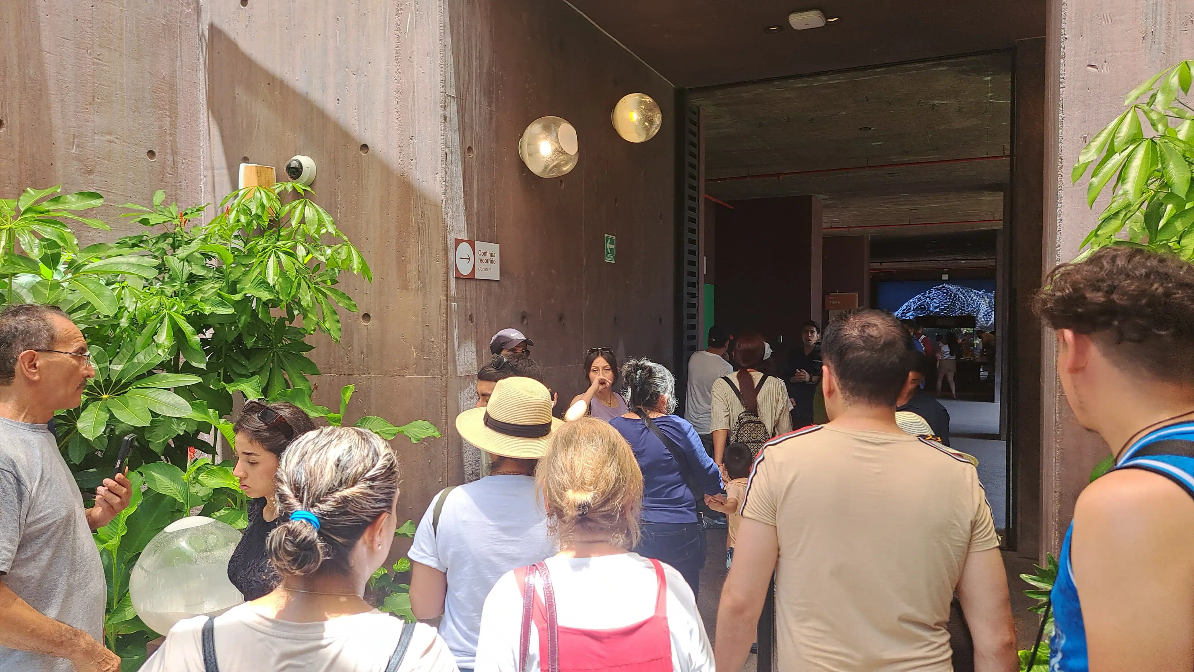 Turistas visitando el Gran Acuario durante su estadía en Mazatlán